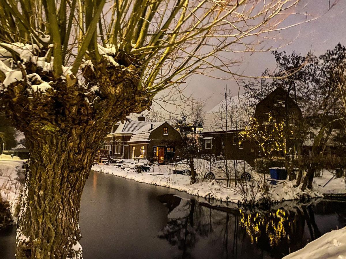 Guesthouse Rotterdam, Tinyhouse Nearby Kralingen المظهر الخارجي الصورة