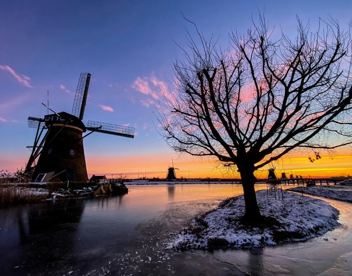 Guesthouse Rotterdam, Tinyhouse Nearby Kralingen المظهر الخارجي الصورة